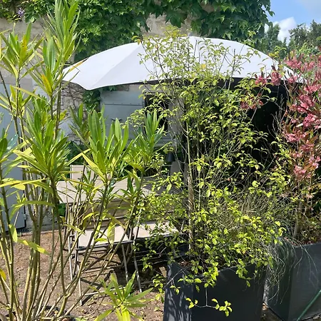 Du Presbytere D'envaux, Ravissante Maison De Charme Ferienhaus Port-dʼEnvaux